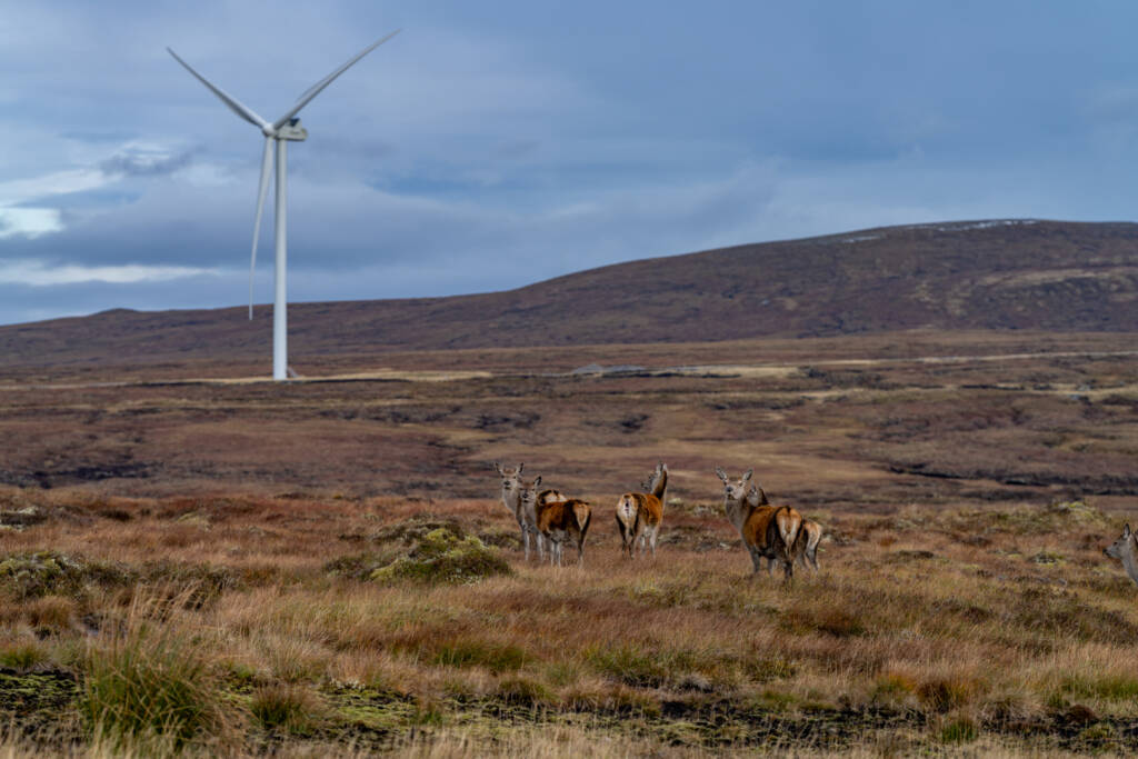 Renewable Energy and nature in balance