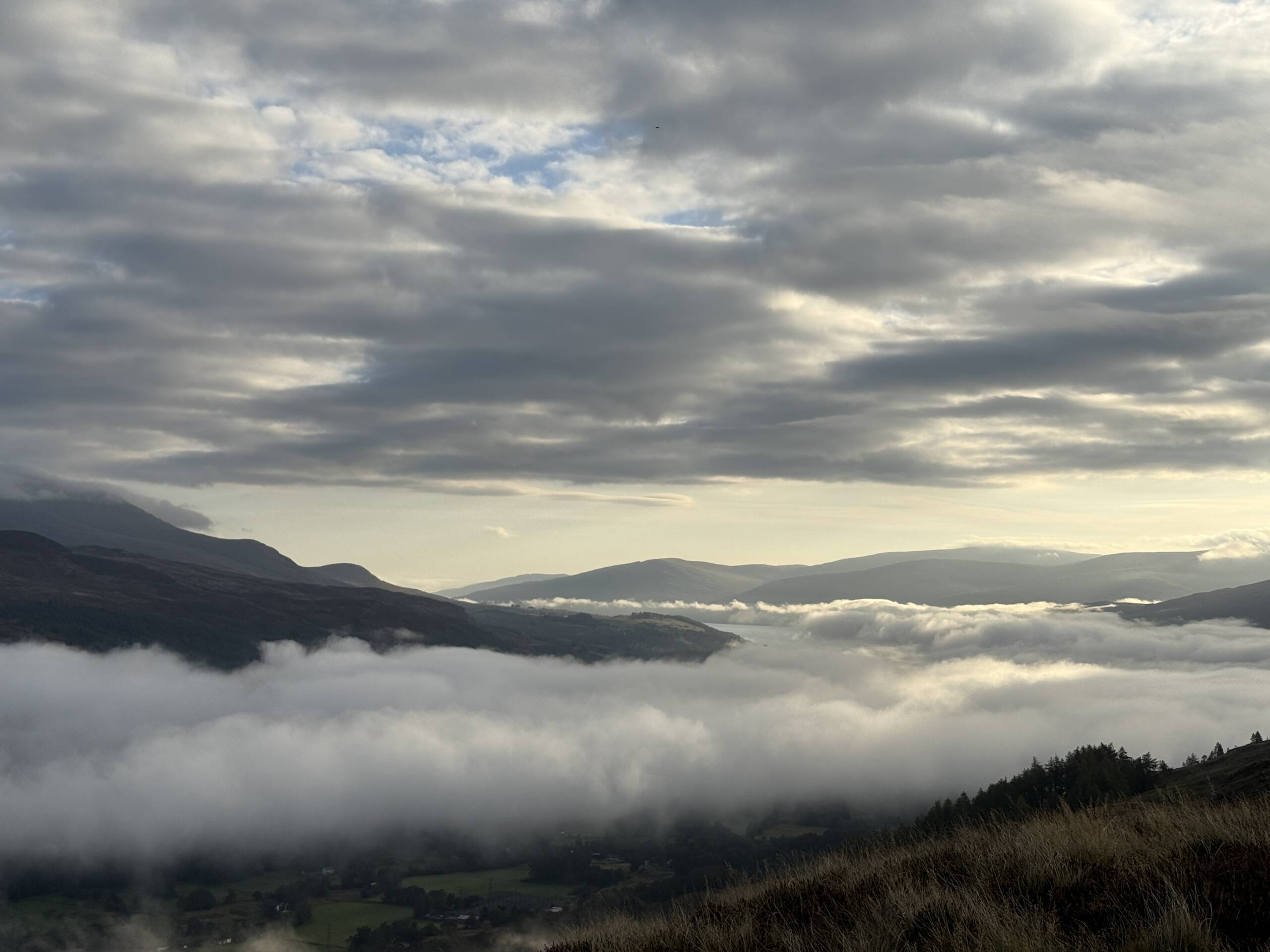 Peatland Restoration Above the Clouds